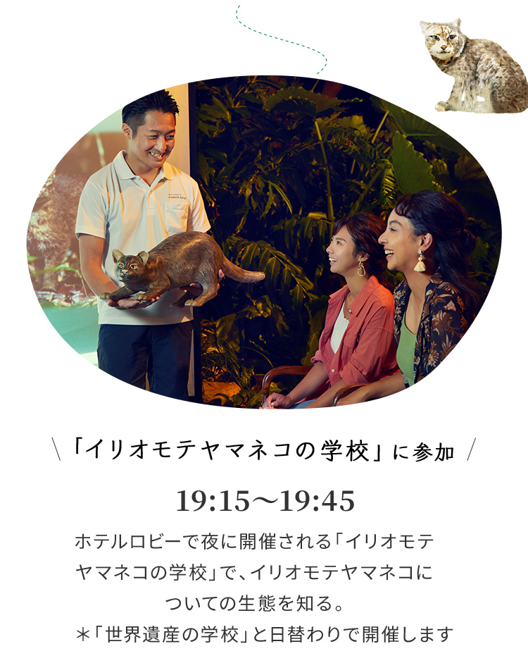 「イリオモテヤマネコの学校」に参加 19:15~19:45 ホテルロビーで夜に開催される「イリオモテヤマネコの学校」で、イリオモテヤマネコについての生態を知る。*「世界遺産の学校」と日替わりで開催します。