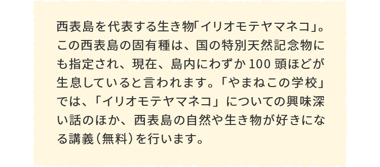 西表島を代表する生き物「イリオモテヤマネコ」。この西表島の固有種は、国の特別天然記念物にも指定され 現在、島内にわずか100頭ほどが生息していると言われます。「やまねこの学校」では、「イリオモテヤマネコ」についての興味深い話のほか、 西表島の自然や生き物が好きになる講義(無料)を行います。
