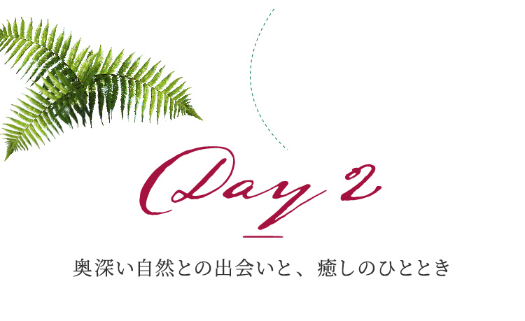 Day 2 奥深い自然との出会いと、癒しのひととき