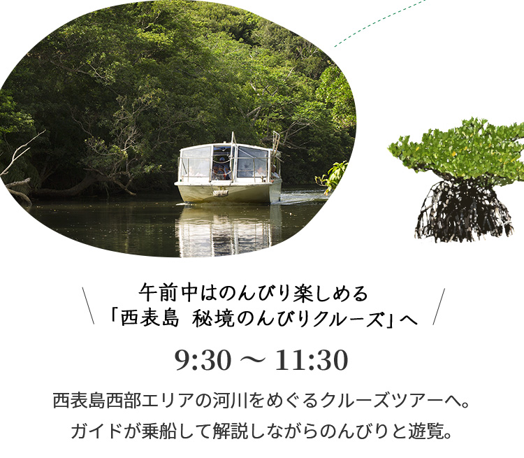 午前中はのんびり楽しめる「西表島 秘境のんびりクルーズ」へ 9:30~11:30 西表島西部エリアの河川をめぐるクルーズツアーへ。ガイドが乗船して解説しながらのんびりと遊覧。