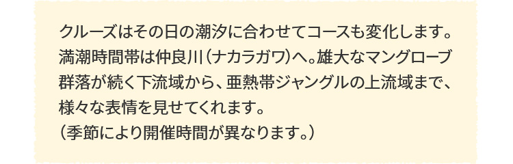 クルーズはその日の潮汐に合わせてコースも変化します。 満潮時間帯は仲良川(ナカラガワ)へ。 雄大なマングローブ群落が続く下流域から、亜熱帯ジャングルの上流域まで、 様々な表情を見せてくれます。(季節により開催時間が異なります。)