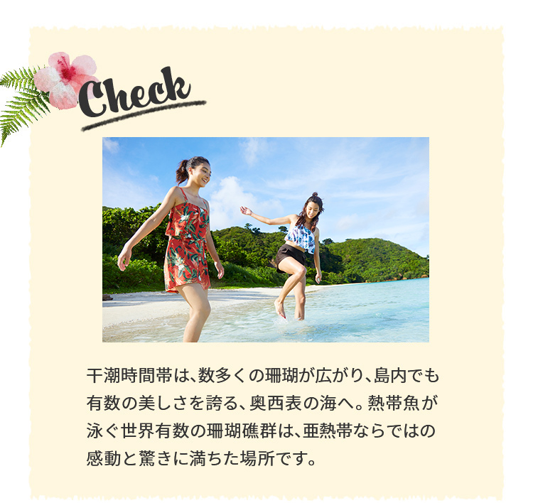Check 干潮時間帯は、数多くの珊瑚が広がり、島内でも有数の美しさを誇る、奥西表の海へ。熱帯魚が泳ぐ世界有数の珊瑚礁群は、亜熱帯ならではの感動と驚きに満ちた場所です。