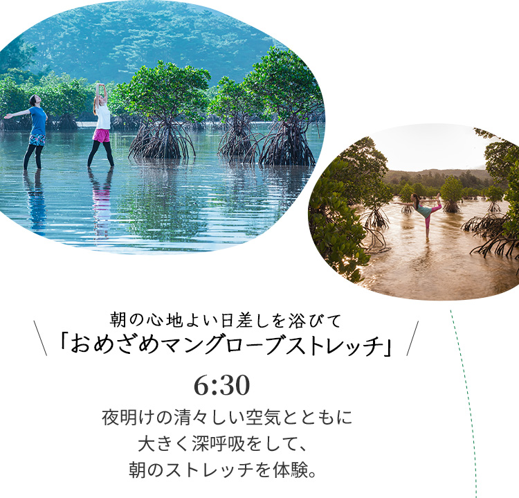 朝の心地よい日差しを浴びて「おめざめマングローブストレッチ」6:30 夜明けの清々しい空気とともに大きく深呼吸をして、朝のストレッチを体験。