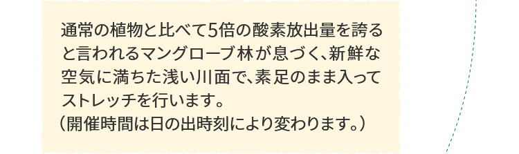 通常の植物と比べて5倍の酸素放出量を誇ると言われるマングローブ林が息づく、新鮮な空気に満ちた浅い川面で、素足のまま入ってストレッチを行います。(開催時間は日の出時刻により変わります。)