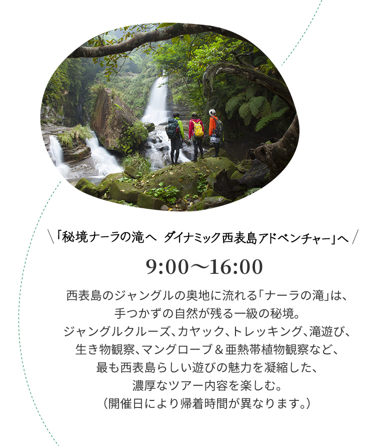 「秘境ナーラの滝へ ダイナミック西表島アドベンチャー」へ 9:00~16:00 西表島のジャングルの奥地に流れる「ナーラの滝」は、手つかずの自然が残る一級の秘境。 ジャングルクルーズ、カヤック、トレッキング、滝遊び、 生き物観察、マングローブ&亜熱帯植物観察など、最も西表島らしい遊びの魅力を凝縮した、濃厚なツアー内容を楽しむ。(開催日により帰着時間が異なります。)