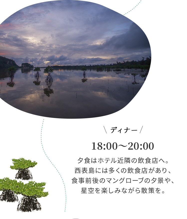 ディナー 18:00~20:00 夕食はホテル近隣の飲食店へ。西表島には多くの飲食店があり、食事前後のマングローブの夕景や、星空を楽しみながら散策を。