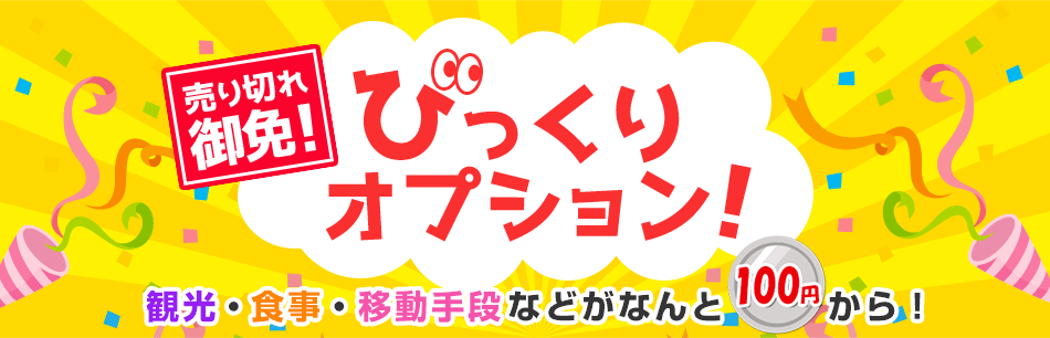 びっくりオプション 観光・食事・移動が100円から!