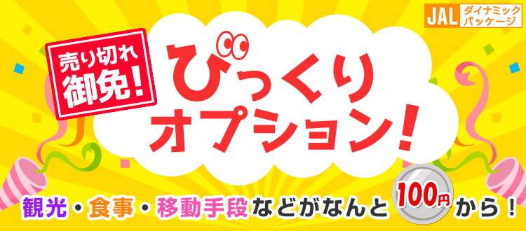 びっくりオプション!観光・食事・移動手段などがなんと100円から!