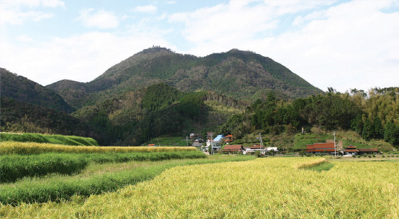 おすすめポイント3 いなかの景色（荒滝山）