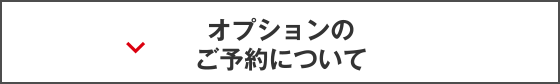 オプションのご予約について