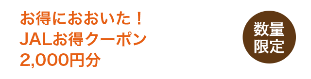 お得におおいた！JALお得クーポン2,000円分