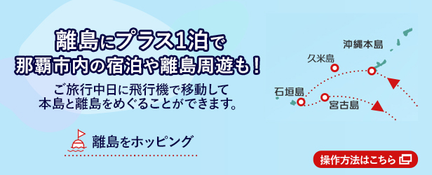 周遊旅行が可能に！詳しくはこちら