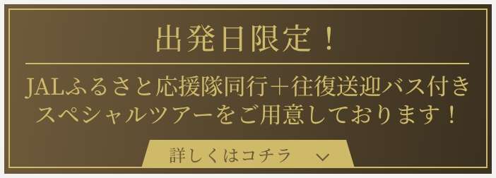 出発日限定!JALふるさと応援隊同行+往復送迎バス付きスペシャルツアーをご用意しております!
