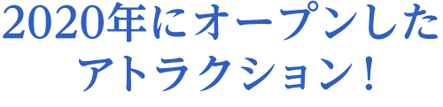 新しくオープンしたアトラクション!