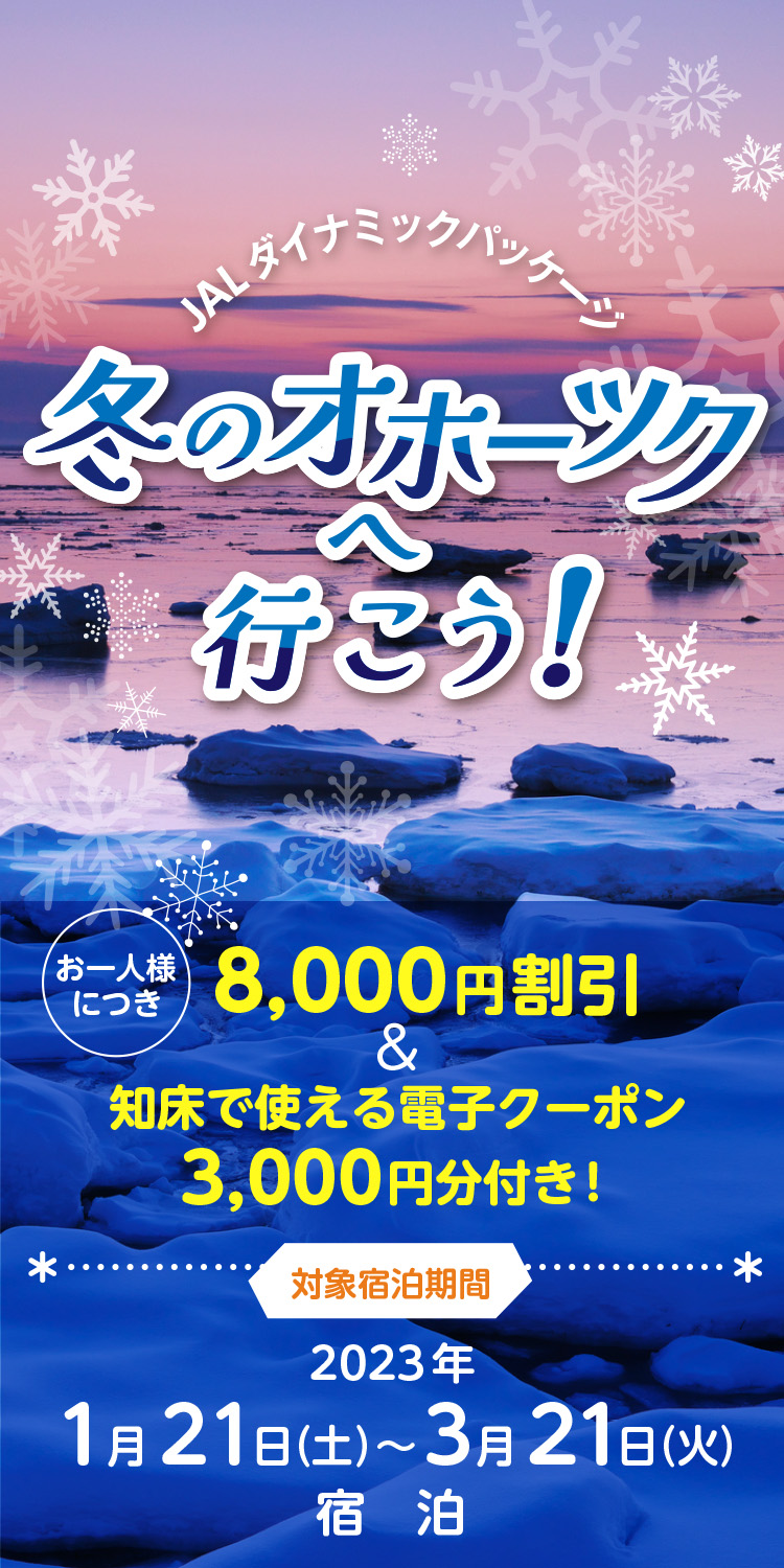 JALダイナミックパッケージ 冬のオホーツクへ行こう！お一人様につき8,000円割引&知床で使える電子クーポン3,000円分付き！