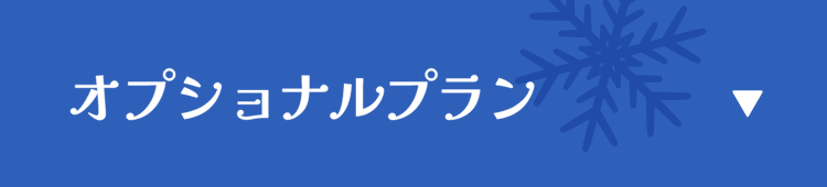 オプショナルプラン