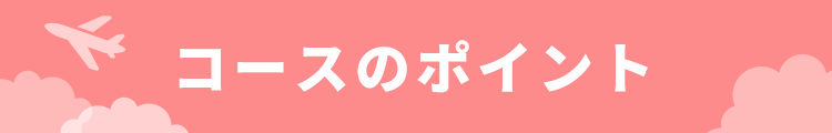 コースのポイント