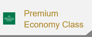 Premium Economy Class