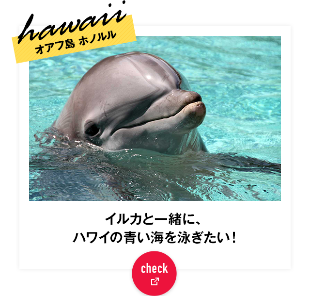 19年ゴールデンウィークは Jalで海外旅行 Jal国際線