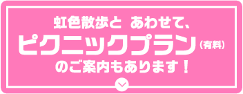 ピクニックプラン