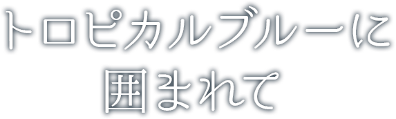 トロピカルブルーに囲まれて