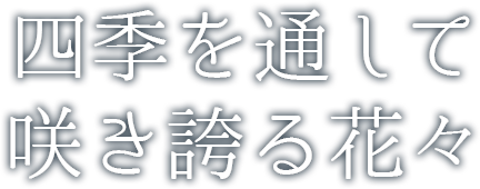 四季を通して咲さ誇る花々