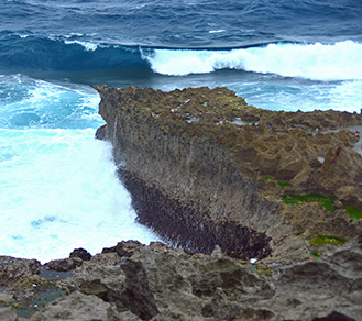 tokunoshima-img04