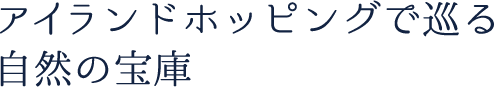 八重山諸島の中心地