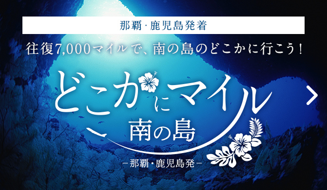 どこかにマイル 南の島〜往復7,000マイルで、南の島のどこかに行こう！〜