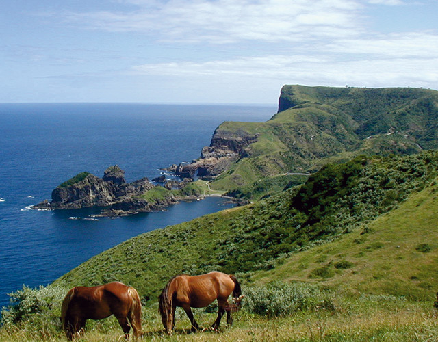 世界が注目 ユネスコ世界ジオパーク認定 隠岐へ行こう 国内ツアー 旅行ならjalパック Jal国内ツアー