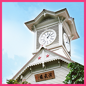 国内線ディスカウントマイル